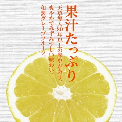 ジューシーオレンジ 7.5kg 河内晩柑(先行受付)_S053-001A