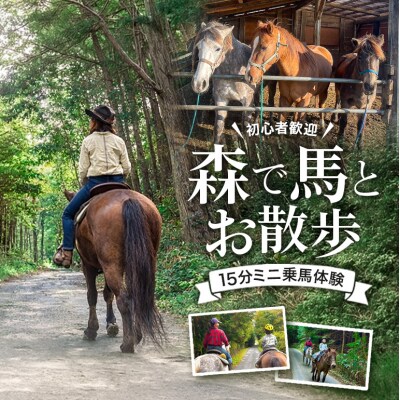 初心者歓迎 森の中を馬に乗ってお散歩プラン(15分)[No5895-0761]