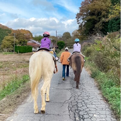 初心者歓迎 森の中を馬に乗ってお散歩プラン(15分)[No5895-0761]