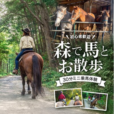 初心者歓迎 森の中を馬に乗ってお散歩プラン(30分)[No5895-0762]