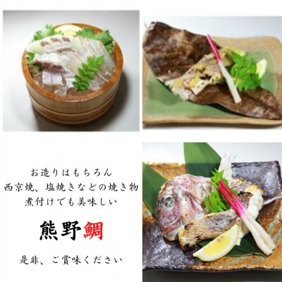 【テレビで紹介されました】水谷水産【新姫　熊野鯛】 3枚おろし (冷凍)