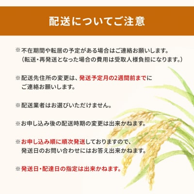 【無洗米/令和7年産】〈令和8年6月内発送〉あきたこまち 10kg 茨城県産 米 無洗米 小分け
