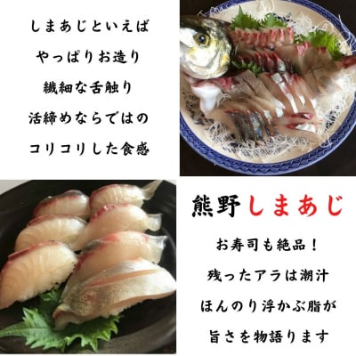 【新姫　熊野しまあじ】 下処理済み 冷凍 水谷水産