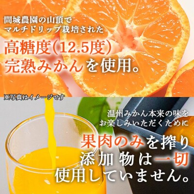 みかんジュース100% ジュース ストレート(温州みかん)720ml 2本 無添加 ms-0047