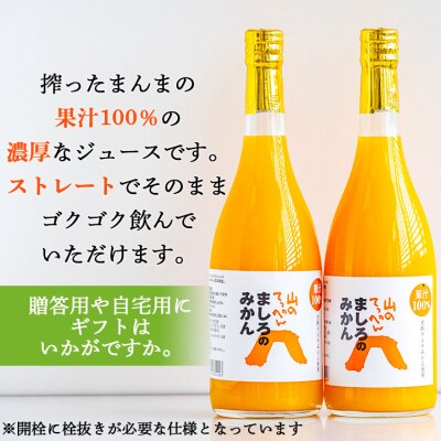 みかんジュース100% ジュース ストレート(温州みかん)720ml 2本 無添加 ms-0047