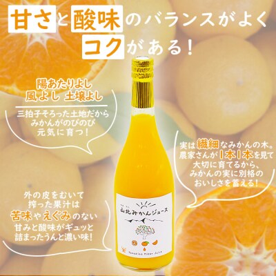 みかんジュース100% ジュース ストレート 720ml2本 山北 yk-0074