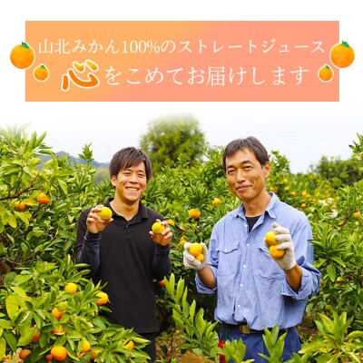 みかんジュース100% ジュース ストレート 720ml2本 山北 yk-0074