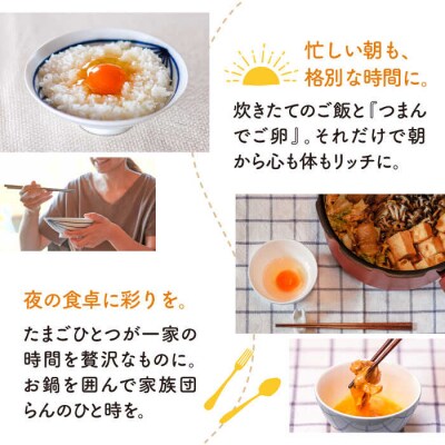 【プリップリ な 卵黄 !】 つまんでご卵 60個セット/緑の農園 たまご 卵 [AGA012]
