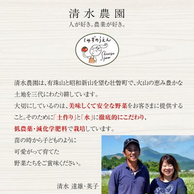 <2026年7月上旬よりお届け>北海道壮瞥産　彩りミニトマト約2.7kg SBTO004