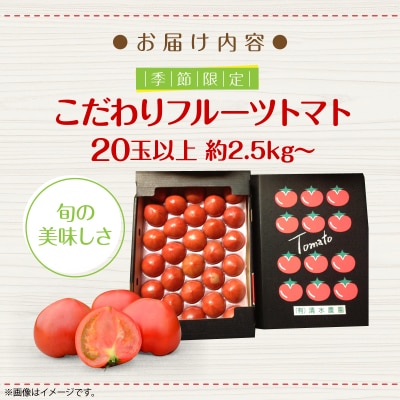 <2026年6月下旬よりお届け>北海道壮瞥産 こだわりフルーツトマト　20玉以上 SBTO003