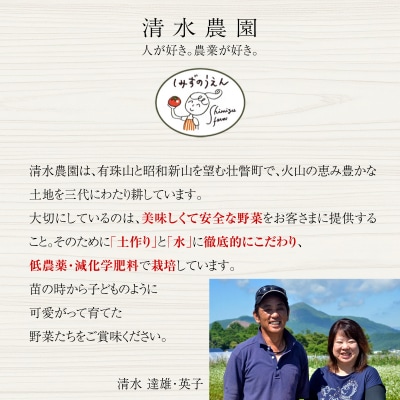 <2026年6月下旬よりお届け>北海道壮瞥産 こだわりフルーツトマト　20玉以上 SBTO003