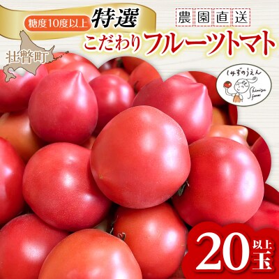 <2026年6月下旬よりお届け>【糖度10度以上】こだわりフルーツトマト 20玉以上 SBTO005