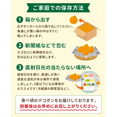天草産 デコポン 3kg〈先行受付〉_S053-002B