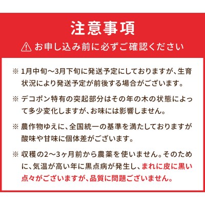 天草産 デコポン 3kg〈先行受付〉_S053-002B