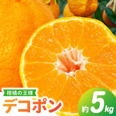 天草産 デコポン 5kg〈先行受付〉_S053-003A