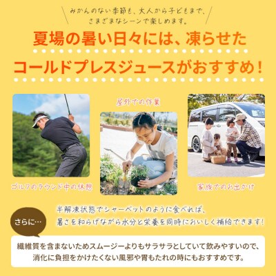みかんジュース100% ジュース ストレート コールドプレスジュース 15本セット ei-0005