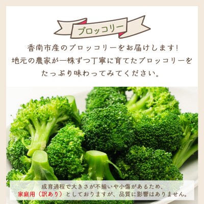 【2026年11月末以降発送】ブロッコリー 1kg 家庭用 yr-0086