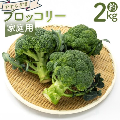【2026年11月末以降発送】ブロッコリー 2kg 家庭用 yr-0087 