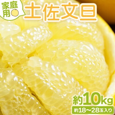 文旦10kg家庭用 10キロ 約18～28玉 訳あり yk-0070