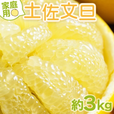 土佐文旦3キロ 文旦3kg 訳あり 大小混合(サイズ:L～3L) 3キロ 家庭用 yk-0071
