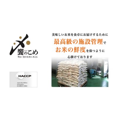 【期間限定発送】 米 令和7年 2kg ×4種 計 8kg 精米 食べ比べ [38601091]
