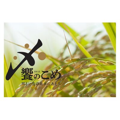 【期間限定発送】 米 令和7年 2kg ×4種 計 8kg 精米 食べ比べ [38601091]