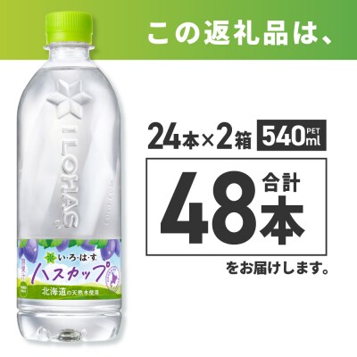 い・ろ・は・す ハスカップ　540mlPET×48本_hs137-031