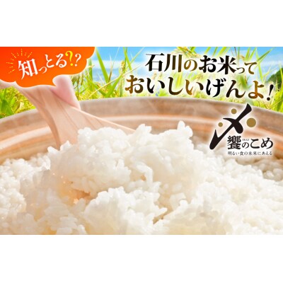 米 無洗米 令和7年産 石川県産 ひゃくまん穀 10kg (5kg×2袋) [38601325]