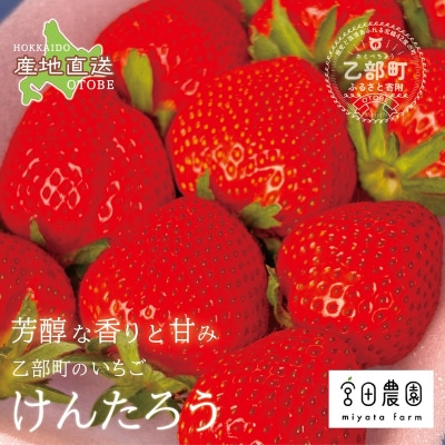 <けんたろういちご 12粒>