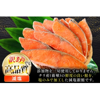 訳あり 鮭 無添加 減塩 銀鮭 切身 総重量 3kg [足利本店 20565551] サーモン
