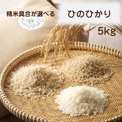 令和8年産 自然栽培米ひのひかり5kg〈栽培期間中農薬・肥料不使用〉【ほのわ】_HA1609