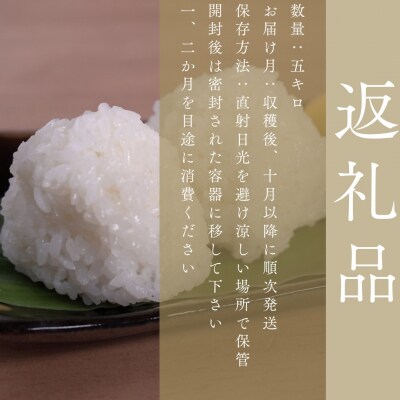 令和8年産 自然栽培米ひのひかり5kg〈栽培期間中農薬・肥料不使用〉【ほのわ】_HA1609
