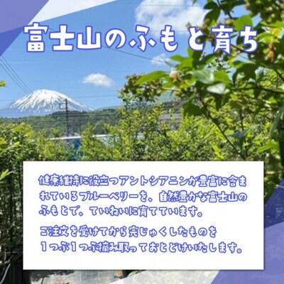 【先行予約】極上摘みたてブルーベリー 100g×4P【期間限定】