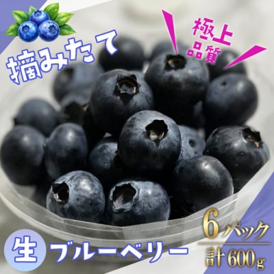 【先行予約】極上摘みたてブルーベリー100g×6パック【期間限定】