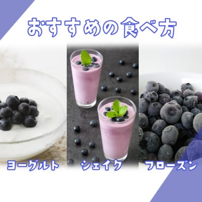 【先行予約】極上摘みたてブルーベリー100g×6パック【期間限定】