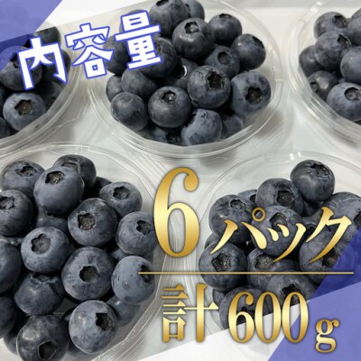 【先行予約】極上摘みたてブルーベリー100g×6パック【期間限定】