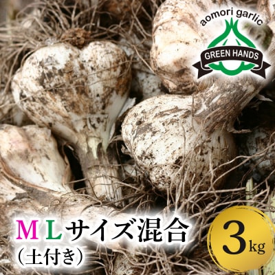 【2026年6月下旬発送開始】掘りたて 生にんにく 青森県産 MLサイズ混合 3kg(土つき)