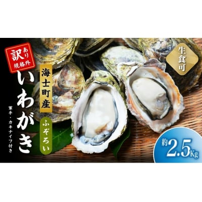 【5/20まで】海士町産いわがき 規格外 2.5kgセット! 牡蠣 牡蛎 いわがき 岩牡蠣 殻付き