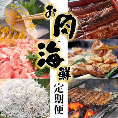 【お試し】お肉・海鮮　定期便(全6回お届け)  H028-085