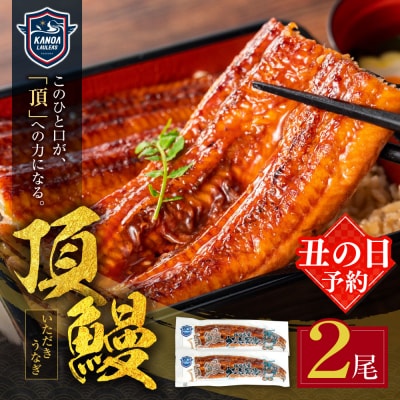 【丑の日】頂鰻 福岡県産うなぎの蒲焼 2尾セット