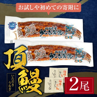【丑の日】頂鰻 福岡県産うなぎの蒲焼 2尾セット