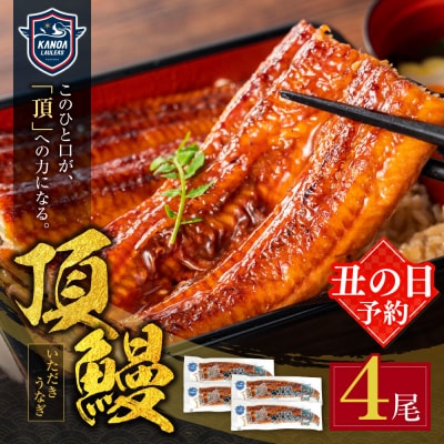 【丑の日】頂鰻 福岡県産うなぎの蒲焼 4尾セット
