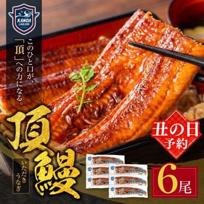 【丑の日】頂鰻 福岡県産うなぎの蒲焼 6尾セット