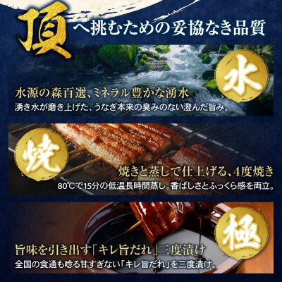 頂鰻 福岡県産うなぎの蒲焼 2尾セット