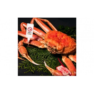 <平日着※指定日不可>活〆ボイル松葉蟹(大/800g～)