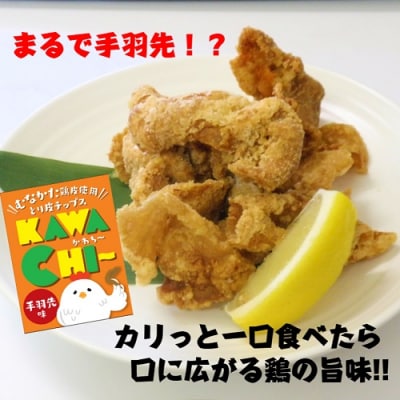 むなかた鶏加工品2点セット(とり皮チップス・やわらか炭火焼)【道の駅】_HA0772