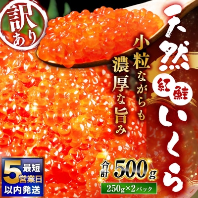 紅鮭いくら醤油漬け 500g (250g×2)冷凍 