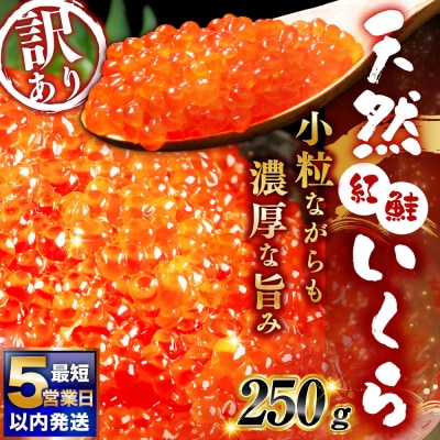 【決済より5営業日程度で発送】紅鮭いくら醤油漬け 250g 冷凍