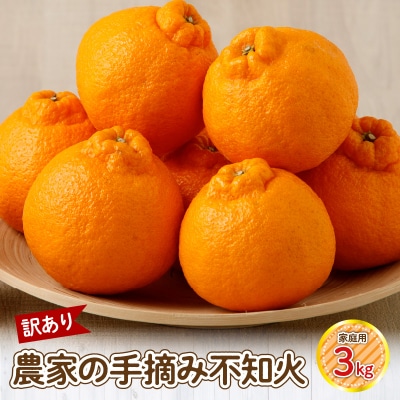 【訳あり】農家の手摘み　不知火　家庭用　3kg_S040-030