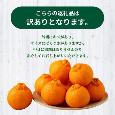 【訳あり】農家の手摘み　不知火　家庭用　3kg_S040-030